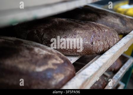 Des pains de seigle foncé fraîchement cuits reposant sur des grilles de refroidissement en bois dans une boulangerie professionnelle où des produits alimentaires artisanaux sont prod Banque D'Images