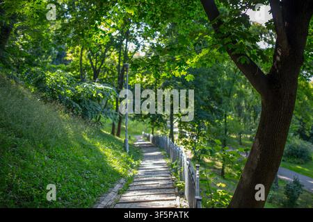 Chemin d'escalier en pierre à travers un parc urbain verdoyant avec des arbres feuillus luxuriants et une herbe haute sur une colline herbeuse, des rampes métalliques menant vers le bas dans l'ombre Banque D'Images