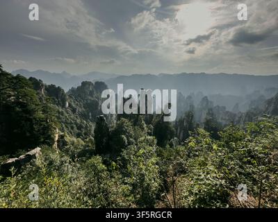 Vue des pilliers de grès emblématiques du parc national forestier de Zhangjiajie, entourés de forêts vertes luxuriantes et de montagnes brumeuses à Zhangjiajie, Hunan Banque D'Images