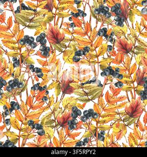 Motif sans couture avec des baies de rowan dessinées à la main à l'aquarelle et des feuilles d'automne dorées. Impression textile botanique, illustration organique de la saison d'automne, nature Banque D'Images
