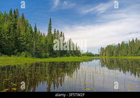 Journée idyllique sur un lac des bois du Nord au Pairie Bee Lake en Ontario Banque D'Images