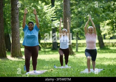 Groupe divers de femmes âgées pratiquant le yoga dans le parc Banque D'Images