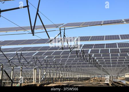 Une perspective large d'une centrale photovoltaïque (PV) à grande échelle s'étendant sur les terres côtières. Des rangées de panneaux solaires bleu foncé sont montés sur des structures robustes Banque D'Images