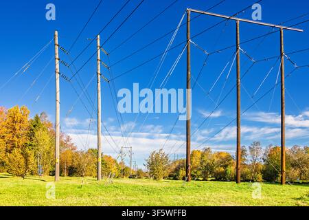 Lignes à haute tension dans un paysage automnal coloré Banque D'Images