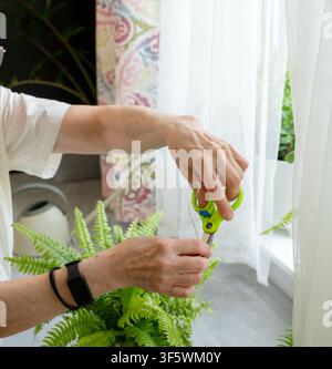 Close-up d'une femme âgée aux cheveux roux taillant les feuilles sèches d'une plante d'intérieur. L'image détaillée montre son travail minutieux et son engagement pour la santé des plantes. Grand-mère s'occupe de la verdure. Banque D'Images