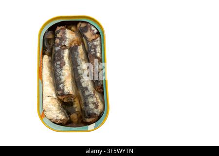 Sardines prêtes à manger conservées dans l'huile dans une boîte ouverte, mettant en valeur les fruits de mer nutritifs, le goût riche et les aliments pratiques du garde-manger. Banque D'Images