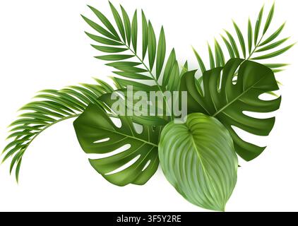 Composition réaliste de feuilles vertes tropicales Illustration de Vecteur