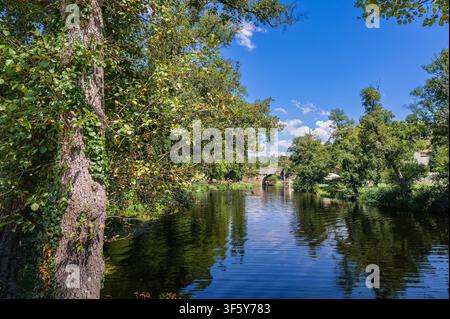 Rivière coulant sous un ancien pont de pierre entouré d'arbres verts Banque D'Images