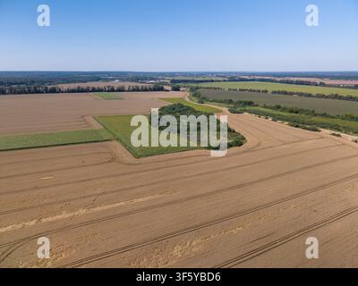 Une prise aérienne large montre de vastes champs de blé doré avec des plaques de végétation verte sous un ciel bleu clair. Banque D'Images