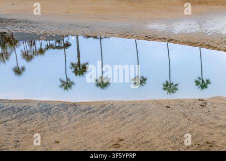 La Jolla Cove à l'aube Banque D'Images