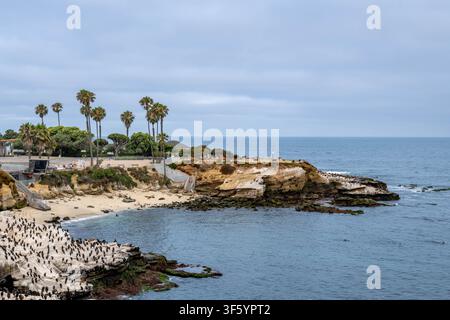 La Jolla Cove à l'aube Banque D'Images