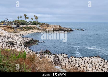 La Jolla Cove à l'aube Banque D'Images