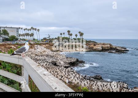 La Jolla Cove à l'aube Banque D'Images