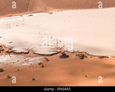 Vue aérienne de la plaine d'argile Deadvlei avec des dunes couleur abricot et des randonneurs, Namibie Banque D'Images