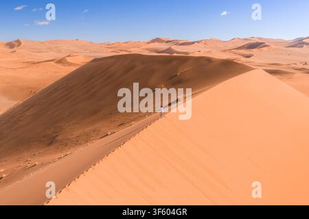 Randonneur aérien sur une crête de dune tranchante à Deadvlei, Sossusvlei, Namibie Banque D'Images