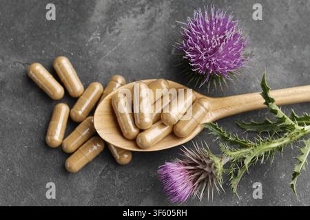 Fleur de chardon-Marie et pilules sur une table grise, vue par-dessus Banque D'Images