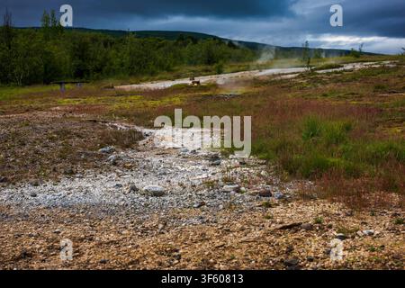 Scène de nature sauvage islandaise sereine mettant en vedette une rivière glaciaire blanche serpentant à travers un terrain rocheux et une végétation basse, avec des montagnes boisées Banque D'Images