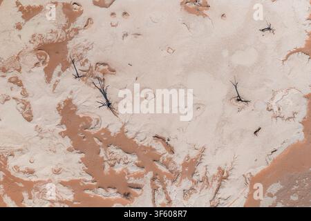 Vue aérienne en hauteur de la plaine d'argile de Deadvlei et des randonneurs à Sossusvlei, Namibie Banque D'Images