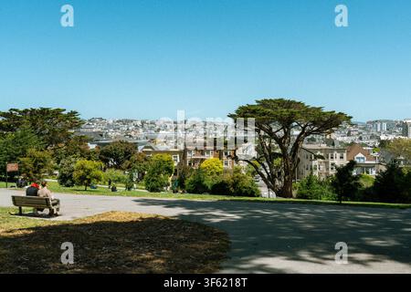 Des gens se détendent sur un banc avec vue sur un parc de colline à Alta Plaza Park à San Francisco, avec un grand cyprès et une vue sur la ville au loin Banque D'Images