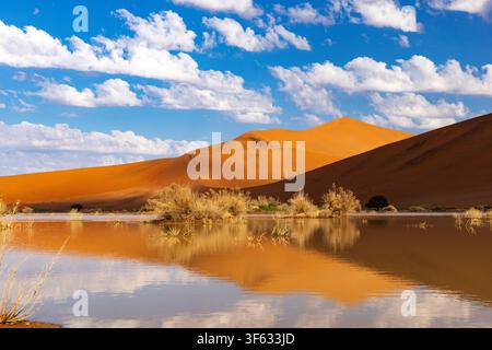 De fortes pluies rares et des inondations provenant de la rivière Tsauchab créant de magnifiques reflets dans le lit du lac Ostrichvlei près de Sossusvlei dans le parc national de Namib-Naukluft Banque D'Images