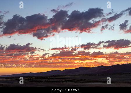 Couchant près de Sossusvlei dans le parc national de Namib-Naukluft, Namibie, Afrique Banque D'Images