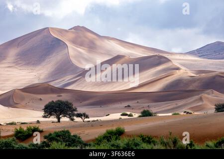 Dunes de sable extra-terrestres près de Sossusvlei dans le parc national Namib-Naukluft, Namibie, Afrique Banque D'Images