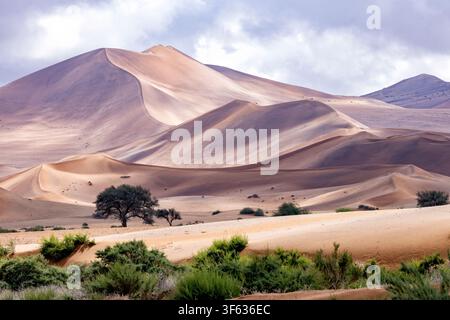 Dunes de sable extra-terrestres près de Sossusvlei dans le parc national Namib-Naukluft, Namibie, Afrique Banque D'Images