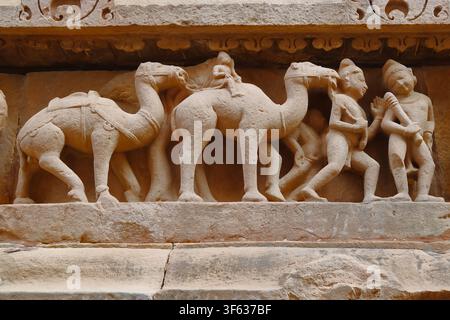Sculpture ancienne en grès représentant des chameaux et des figures humaines sur le mur extérieur du groupe de monuments de Khajuraho, Madhya Pradesh, Inde. Banque D'Images