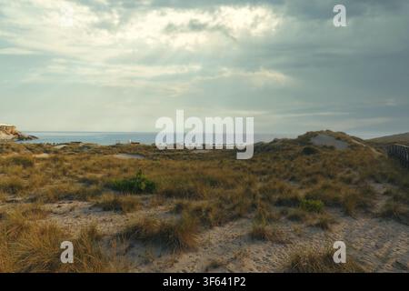 Dunes de sable de la plage de Cala Mesquida à Capdepera, Majorque, Baléares, Espagne Banque D'Images