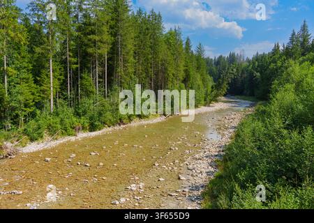 Eaux peu profondes et cristallines de l’Ammer coulent sur un lit pierreux entouré de denses forêts de pins verts dans la gorge pittoresque de l’Ammer près de Scheibum, Banque D'Images
