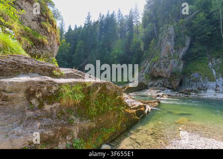 Des falaises rocheuses moussues et des forêts de pins toujours vert bordent les eaux turquoise cristallines de l'Ammer alors qu'elle traverse le pittoresque Scheibu Banque D'Images