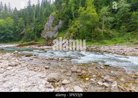 Les eaux claires de l'Ammer coulent rapidement sur un lit rocheux à travers les forêts de conifères luxuriantes de la région de Scheibum dans la gorge pittoresque de l'Ammer Banque D'Images