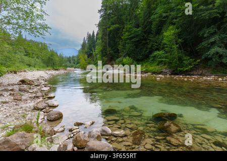 Les eaux immaculées et cristallines de la rivière Ammer coulent sur un lit rocheux et caillouteux dans la gorge pittoresque de Scheibum, entourée de denses forêts de pins verts Banque D'Images