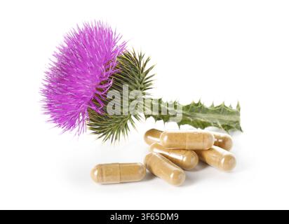 Fleur de chardon-marie et pilules isolées sur blanc Banque D'Images