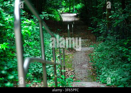 Un chemin forestier tranquille descend doucement à travers une zone dense de végétation verte avec une série de marches et des rampes métalliques simples guidant le chemin. Le Banque D'Images