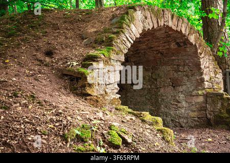 Un ancien arc de pierre se dresse partiellement enfoui dans un flanc de colline boisé entouré d'une végétation dense et d'une lumière naturelle douce. La structure est construite à partir de pierres rugueuses et irrégulières qui montrent des signes d'érosion due à l'âge Banque D'Images