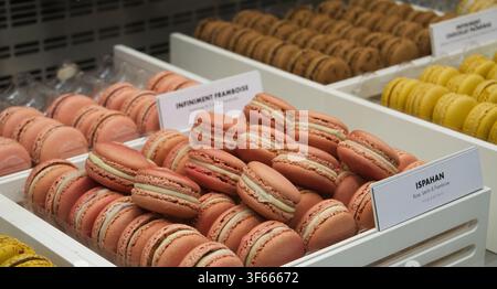Paris, France – Des plateaux de macarons français frais, dont Ispahan et Infiniment Framboise, exposés dans le comptoir d'une pâtisserie de luxe. Banque D'Images