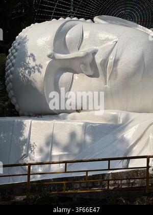 Statue géante de Bouddha allongé avec des singes sauvages. Gros plan d'une sculpture massive de Bouddha allongé blanc avec de petits singes sauvages reposant sur son visage, s Banque D'Images