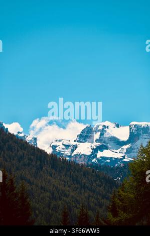 Une prise de vue verticale capturant des sommets majestueux coiffés de neige qui s'élèvent au loin, encadrés par une forêt dense et sombre d'arbres à feuilles persistantes au premier plan. Au-dessus des montagnes, un vaste ciel bleu éclatant s'étend vers le haut avec quelques nuages blancs doux reposant près des sommets. Banque D'Images