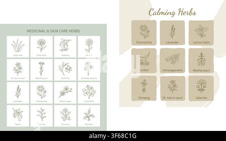 Collection d'icônes en ligne artistique pour herbes médicinales et de soins de la peau Illustration de Vecteur