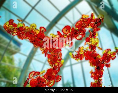 SEATTLE - 25 AVR 2025 - Sculpture en verre de Chihuly présentant des fleurs orange-jaune vibrantes, des feuilles tombant du plafond de la serre, Space Needle Banque D'Images