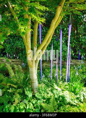 SEATTLE – 25 AVR 2025 – Des fougères vertes luxuriantes et des plantes vibrantes enveloppant un tronc d’arbre de couleur claire et des sculptures en verre violet élancées dans un g tranquille Banque D'Images