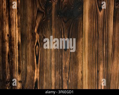 Papier peint en planches de bois brûlé, fond en planches de bois rustique avec motifs organiques de veines d'arbres et détails de nœuds Banque D'Images