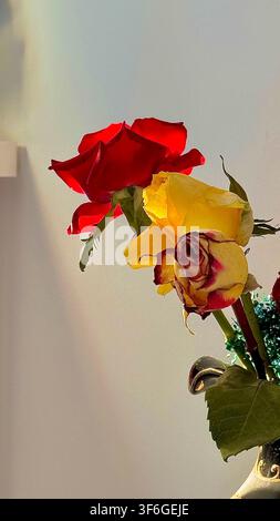 Close-up de roses rouges et jaunes arrangées ensemble, créant une composition florale colorée associée à l'amour et à la célébration. Banque D'Images