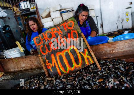 Des moules d'élevage sont exposées à la vente sur un étal de marché à Caleta Portales, un port de pêche artisanal à Valparaíso, au Chili. Banque D'Images