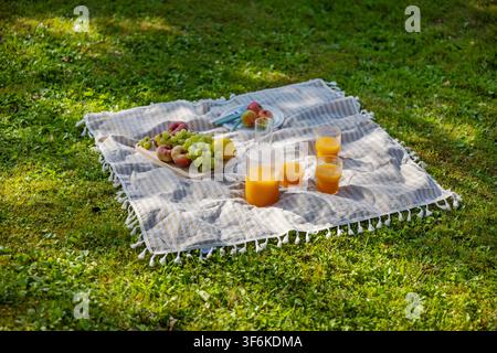 pique-nique d'été confortable avec des fruits frais et du jus d'orange servis sur une couverture rayée dans un jardin luxuriant et vert. Scène de vie en plein air relaxante mettant en vedette gr Banque D'Images
