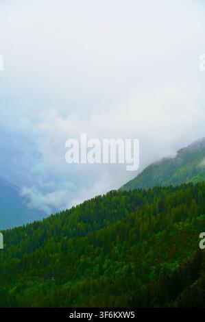 Une photographie de paysage verticale de pentes montagneuses vertes et luxuriantes recouvertes d'une forêt de pins dense, partiellement obscurcies par une épaisse brume blanche et des nuages bas sous un ciel couvert. Banque D'Images