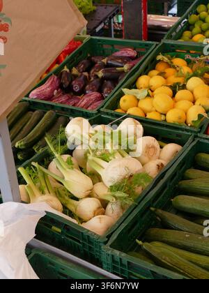Fenouil, aubergine, citrons et concombres remplissant des caisses vertes, offrant des produits frais, sains et biologiques sur un marché de producteurs en plein air, promouvant une s Banque D'Images
