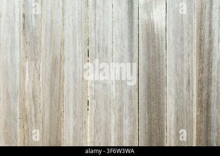 Grossissement de la texture de planches de clôture en bois gris patiné avec des lignes verticales Banque D'Images