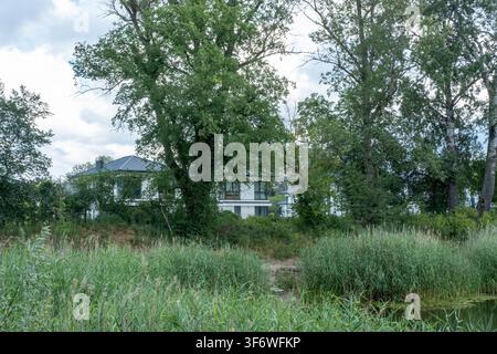 Des maisons résidentielles blanches modernes se trouvent derrière des arbres verts et un étang rempli de roseaux dans un quartier de banlieue. Banque D'Images